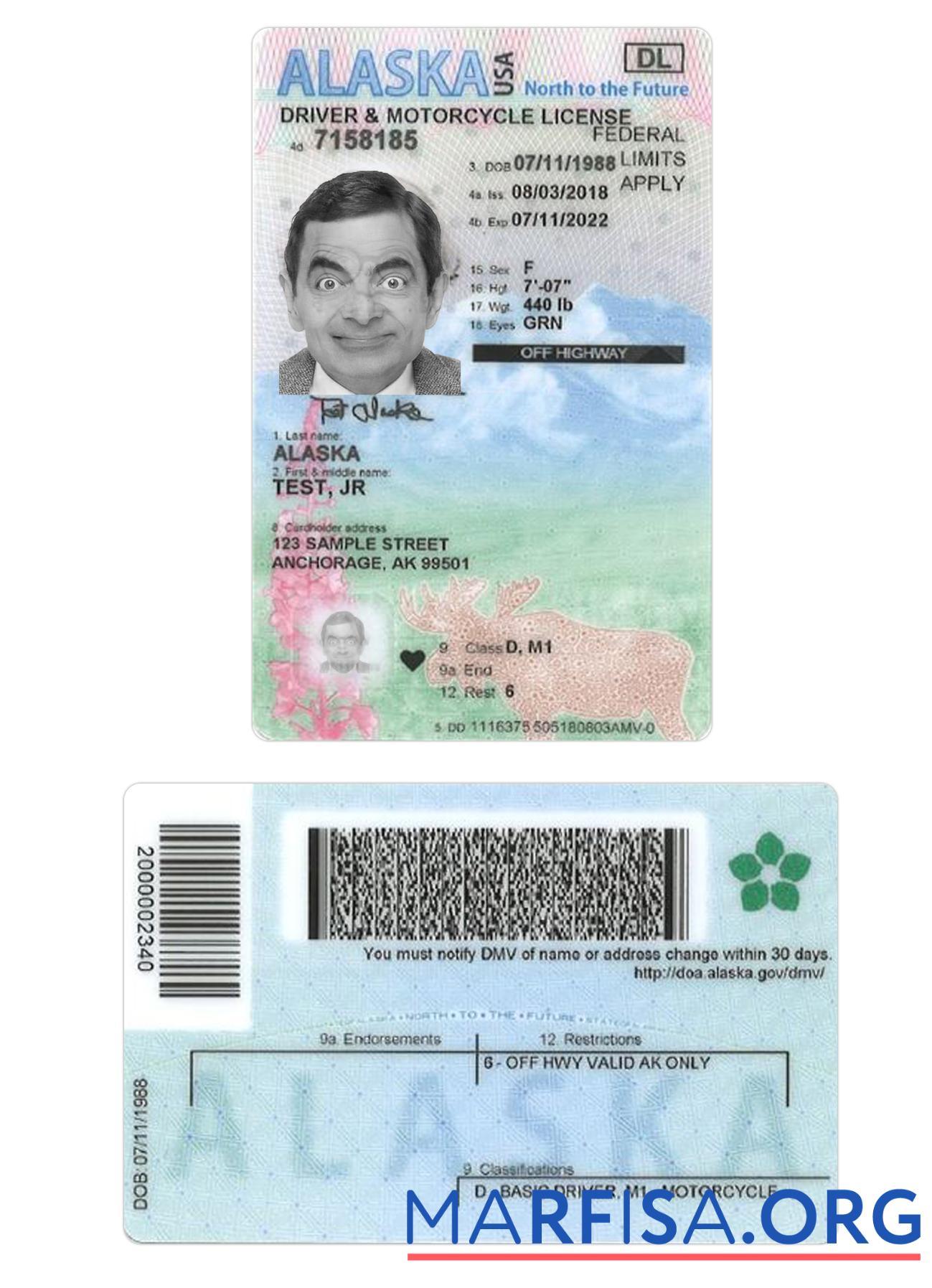 Realistic USA Alaska under 21 driving license real example